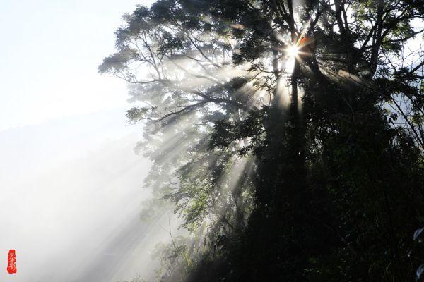 首个石油石化职称自主评委会在津成立