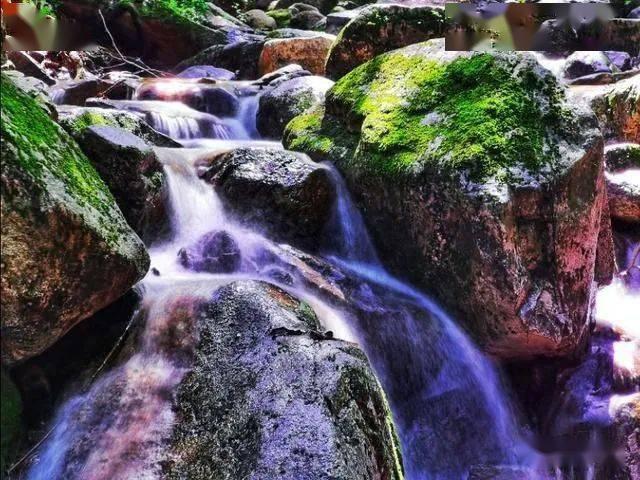 31岁青年心跳骤停,北京积水潭医院重症医学科ECMO团队成功救治